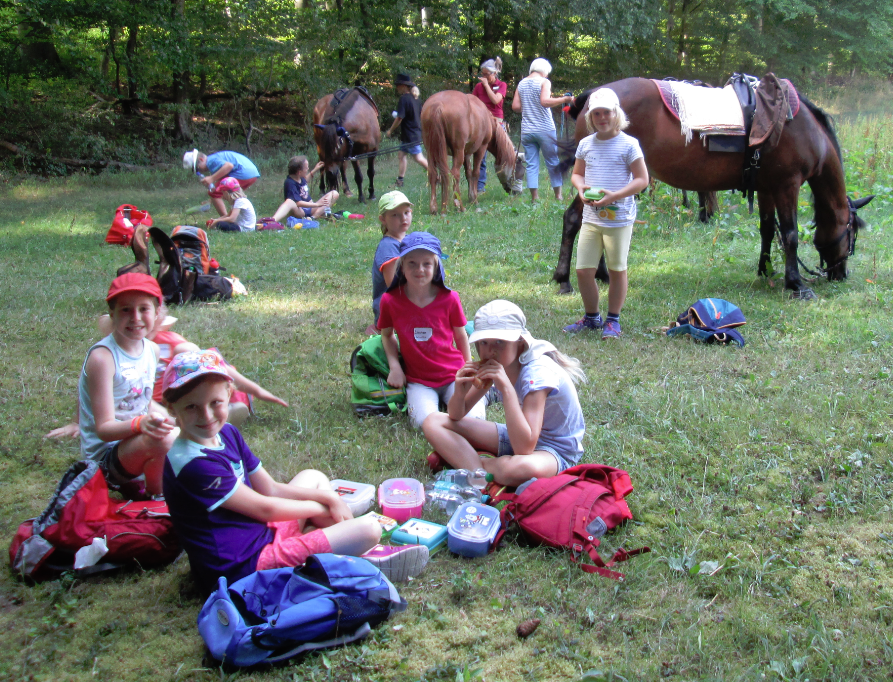 Das Foto zeigt Kinder und Ponys bei der Mittagspause am Waldrand.